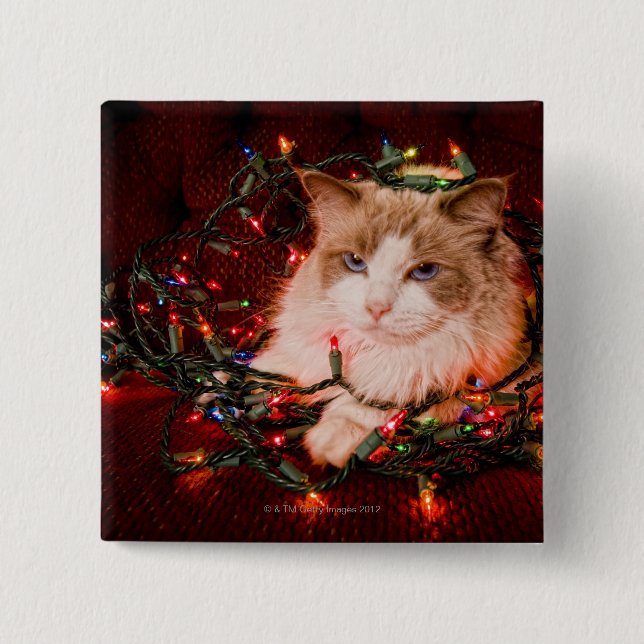 Cat sitting on a ball of Christmas lights. Button (Front)