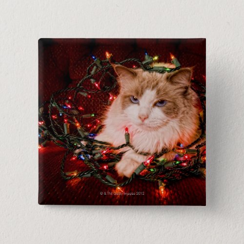 Cat sitting on a ball of Christmas lights Button