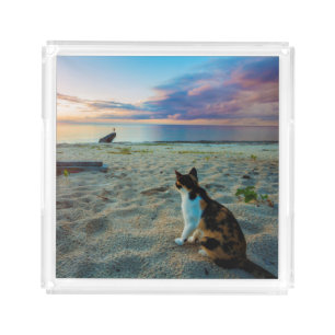 Cat Sitting On A Beach Acrylic Tray