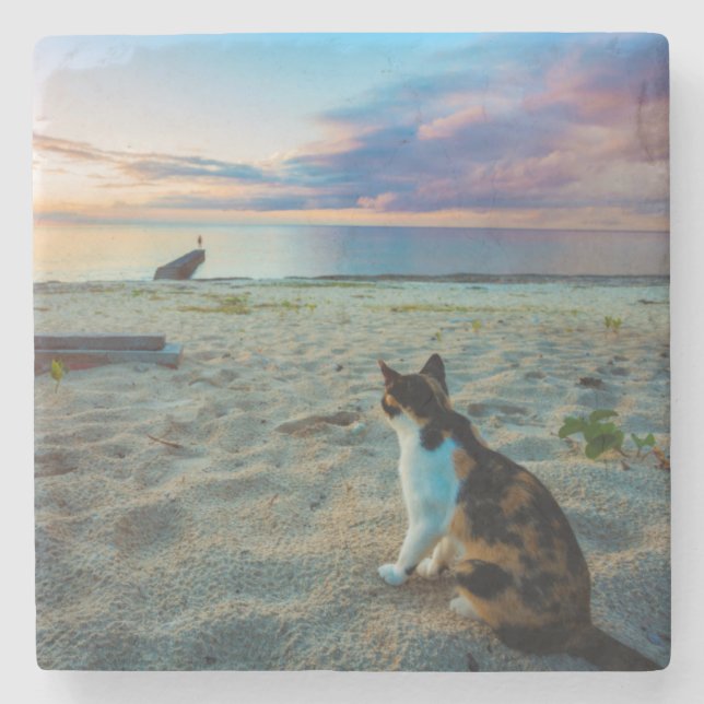 Cat Sitting On A Beach Stone Coaster (Front)