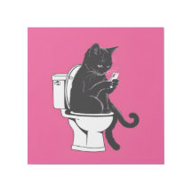 Cat Sitting on a Toilet