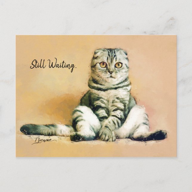 Cat Sitting Still Waiting | I Miss You Postcard (Front)