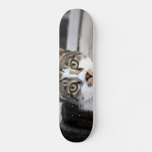 Cat Skateboard Deck (Front)