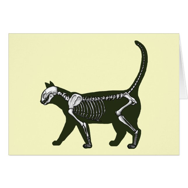 Cat Skeleton Cards (Front Horizontal)