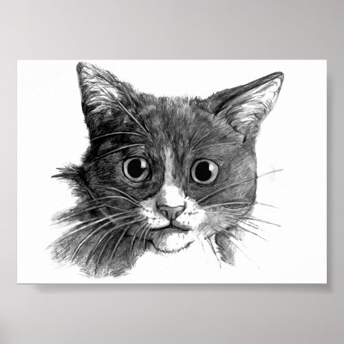 Cat Sketch Poster