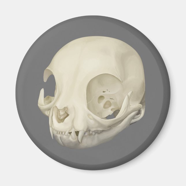Cat Skull Magnet (Front)
