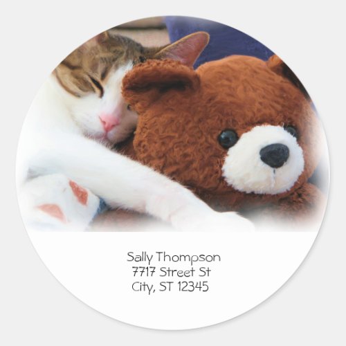 Cat Sleep Teddy Bear Address Classic Round Sticker