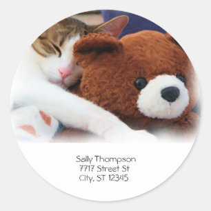 Cat Sleep Teddy Bear Address Classic Round Sticker