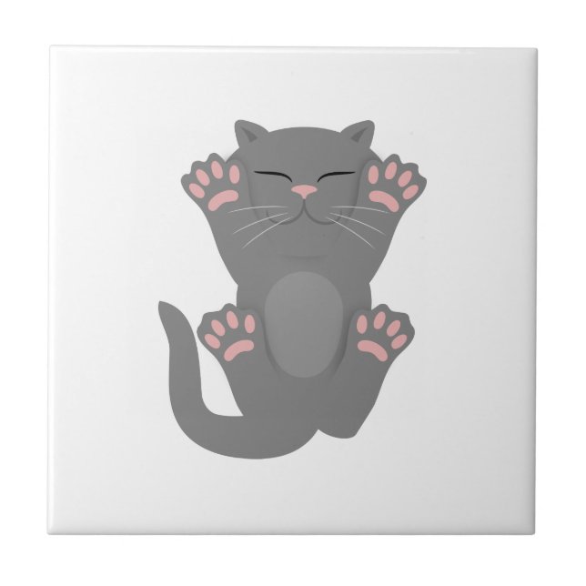 Cat Sleeping Ceramic Tile (Front)