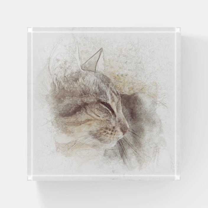 Cat Sleeping Digital Pencil Drawing Paperweight Zazzle Com