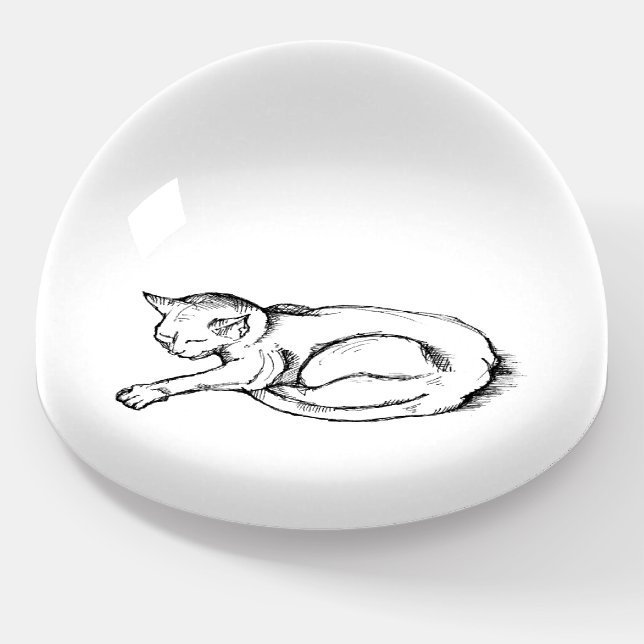 Cat Sleeping Illustration Pen Drawing Art  Paperweight (Angled)