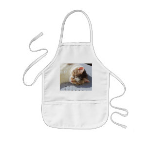 Cat sleeping in a garden kids' apron