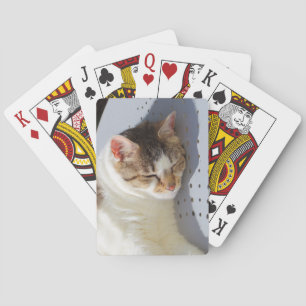 Cat sleeping in a garden poker cards