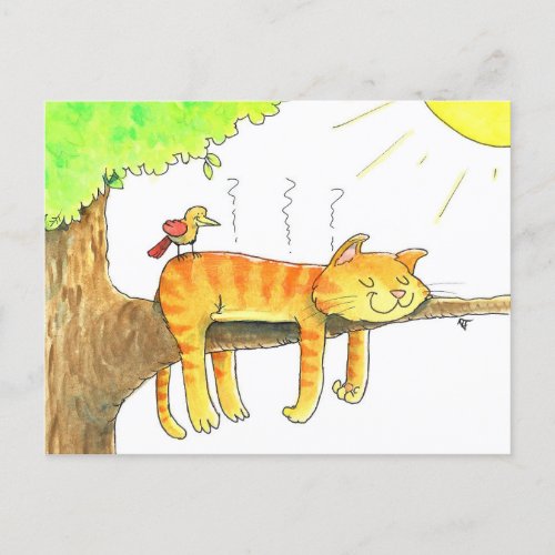 Cat Sleeping in the Sun  Postcard