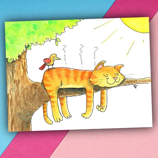 Cat Sleeping in the Sun  Postcard (Creator Uploaded)