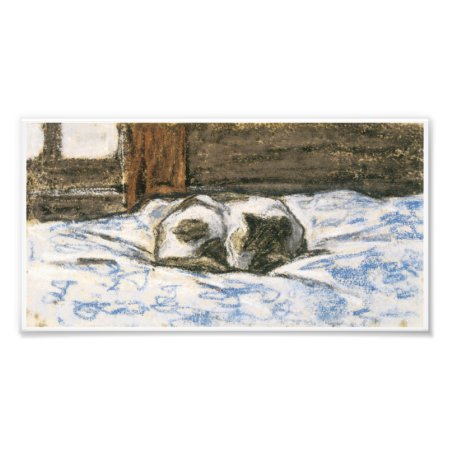 Cat Sleeping On A Bed By Claude Monet Photo Print