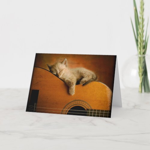 Cat sleeping on guitar card