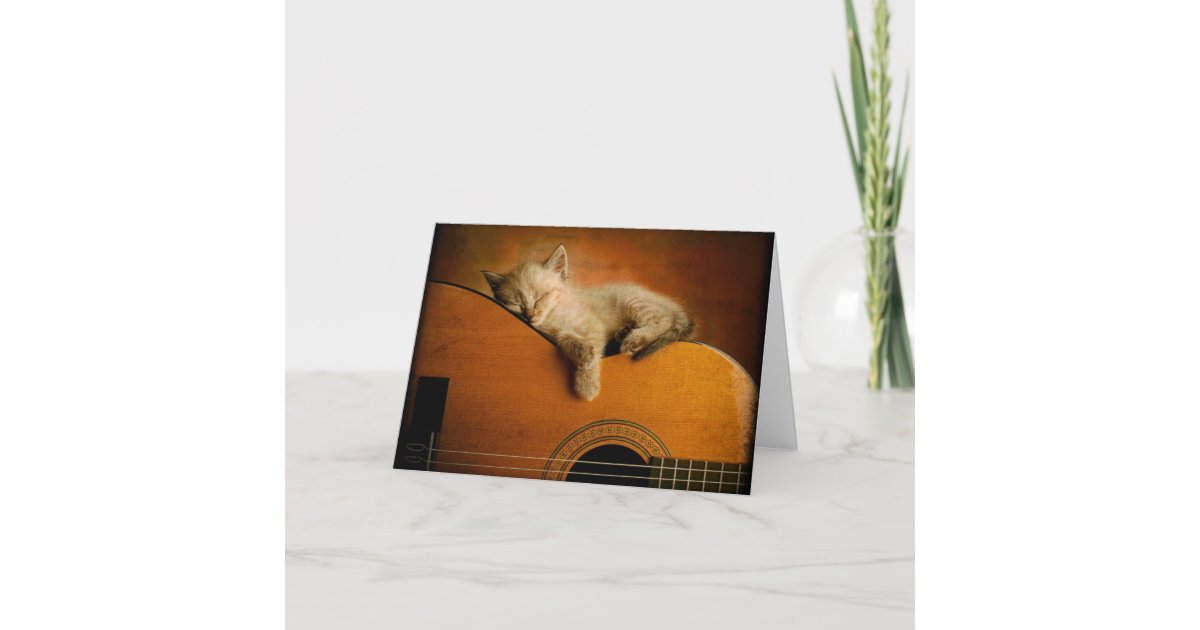 Cat sleeping on guitar card Zazzle
