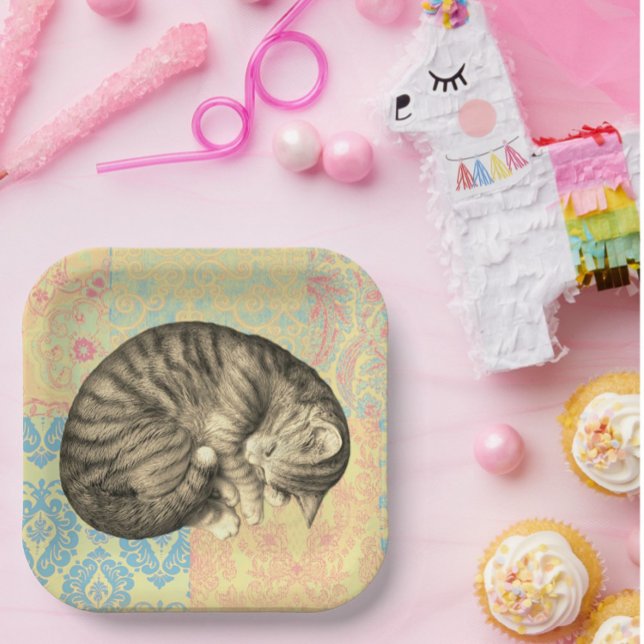 Cat sleeping on quilt cute paper plates (Creator Uploaded)