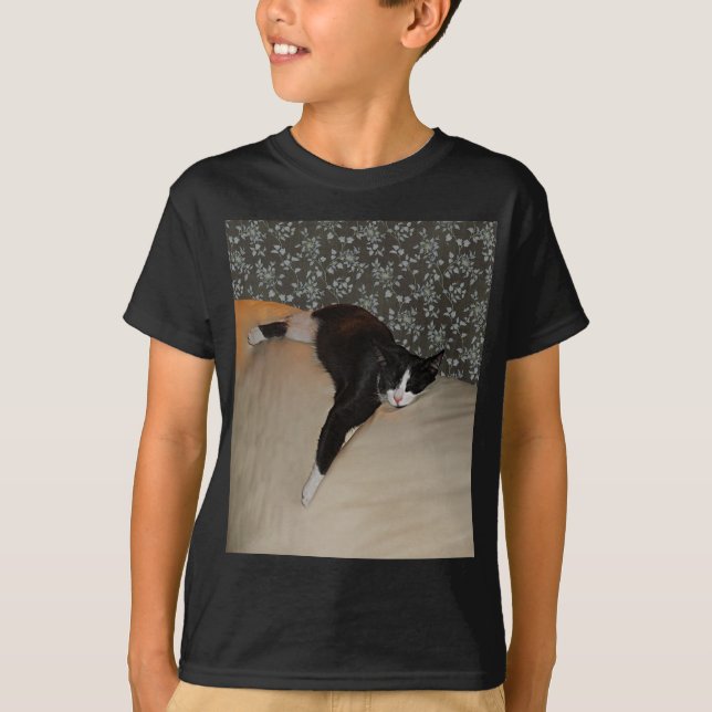 Cat Sleeping on top of Couch Kids Tagless T-Shirt (Front)