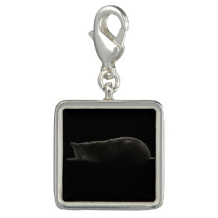 Cat Sleeping Photograph Charm