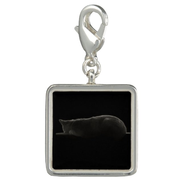 Cat Sleeping Photograph Charm (Front)