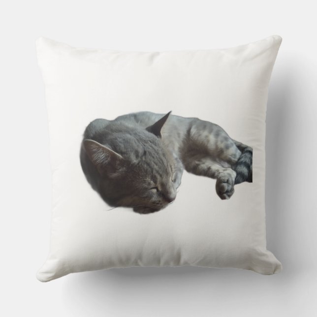 Cat sleeping throw pillow (Back)