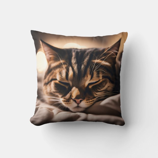 Cat Sleeping Throw Pillow (Front)