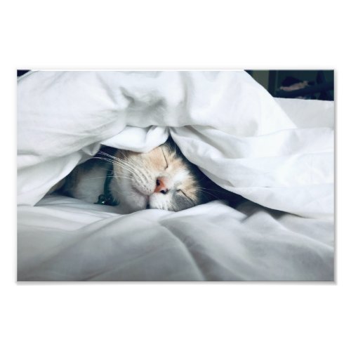 Cat Sleeping Under White Blanket Photo Print