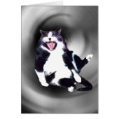 Cat Sliding Down on card (Front)