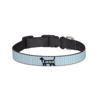 Cat Small Collar