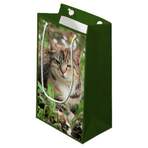 Cat Small Gift Bag