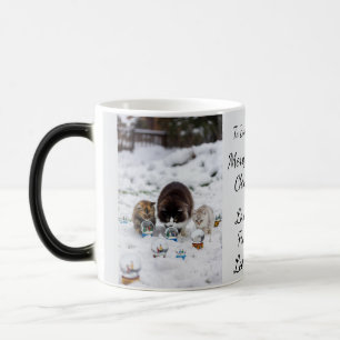 Cat Snow Globe, Image Names Text, Customize, Color Morph Mug