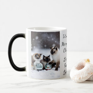 Cat Snow Globe, Image Names Text, Customize, Color Morph Mug