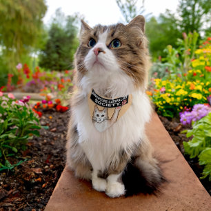 Cat Society Pet Bandana Collar