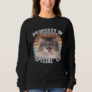 Cat Special Property Vintage Eighties Style Cat Re Sweatshirt