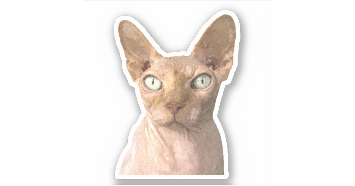 Cat Sphynx Portrait Sticker | Zazzle.com