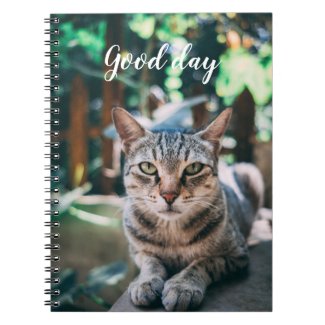 Cat Spiral Photo Notebook