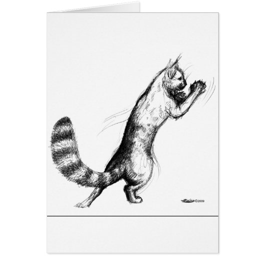 Cat Springing2 Cards (Front)