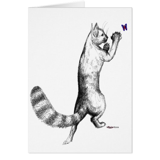 Cat Springing Cards (Front)