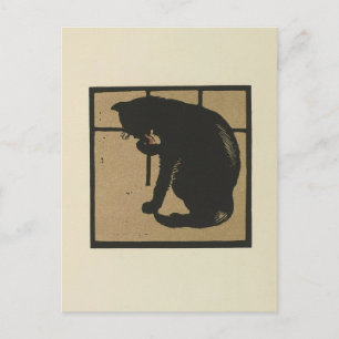 Cat - Square Animals Illustration Postcard