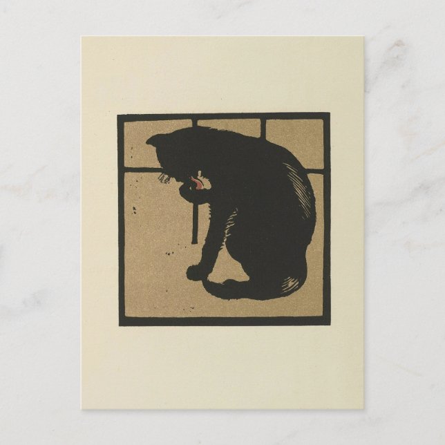 Cat - Square Animals Illustration Postcard (Front)