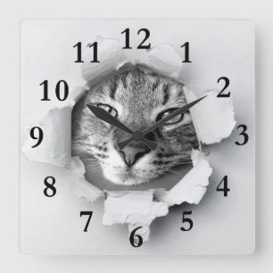 cat square wall clock