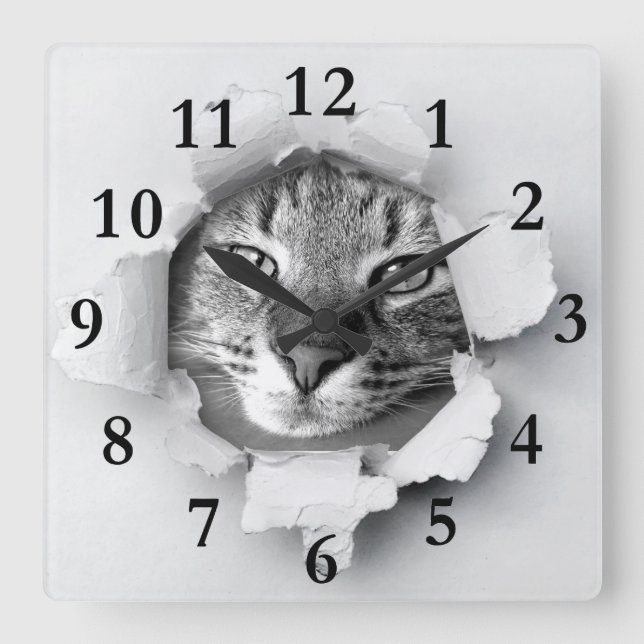 cat square wall clock (Front)