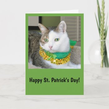 Cat St. Patrick's Day Card by Purranimals at Zazzle
