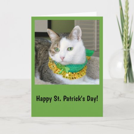 Cat St. Patrick's Day Card