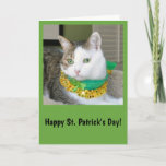 Cat St. Patrick&#39;s Day Card at Zazzle