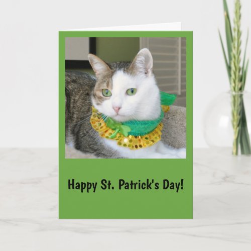 Cat St Patricks day card