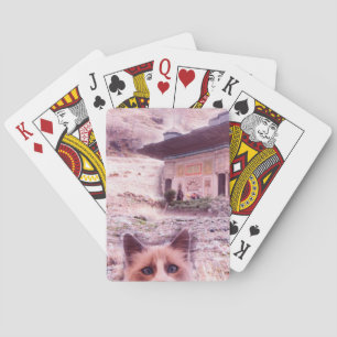 Cat Stare Classic Playing Cards