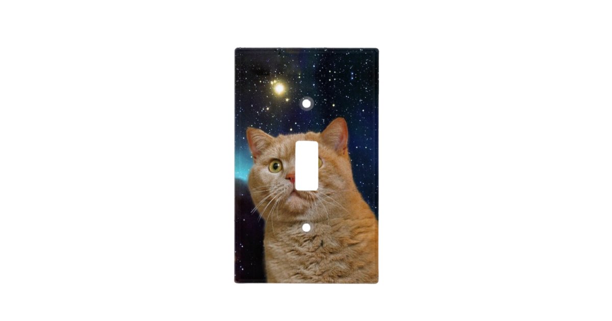Cat Staring At The Universe Light Switch Cover Zazzle Com